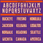 Sublimation Pinstripe Custom White-Orange Fade Soccer Purple Uniform Jersey Fashion Sublimation Pinstripe Custom White-Orange Fade Soccer Purple Uniform Jersey Fashion